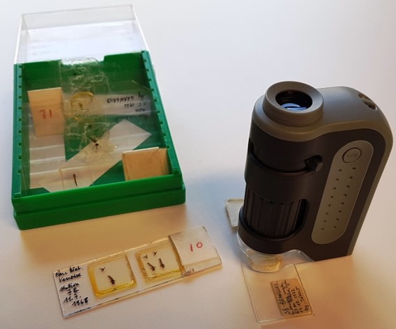 Kit microscope et boite de lames d'échantillons à à observer